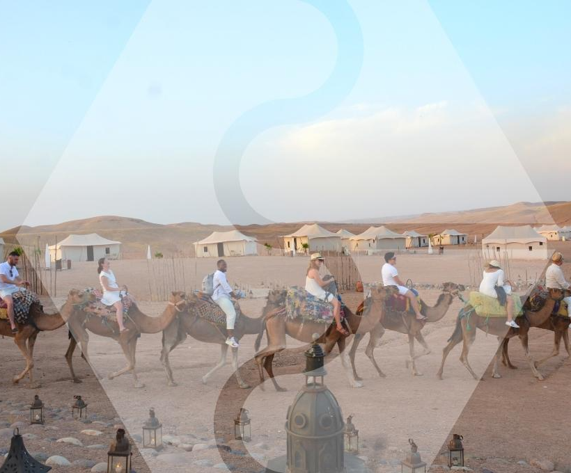 DÎNER AU DÉSERT D’AGAFAY ET BALADE EN DROMADAIRE