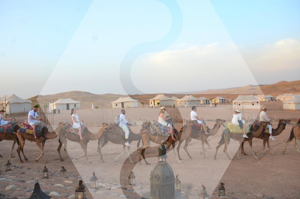 DÎNER AU DÉSERT D’AGAFAY ET BALADE EN DROMADAIRE